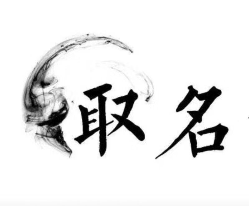  苏尼特左宝宝取名 大师一对一人工起名